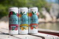 Picture of Fabrizia Vodka Soda Variety Pack