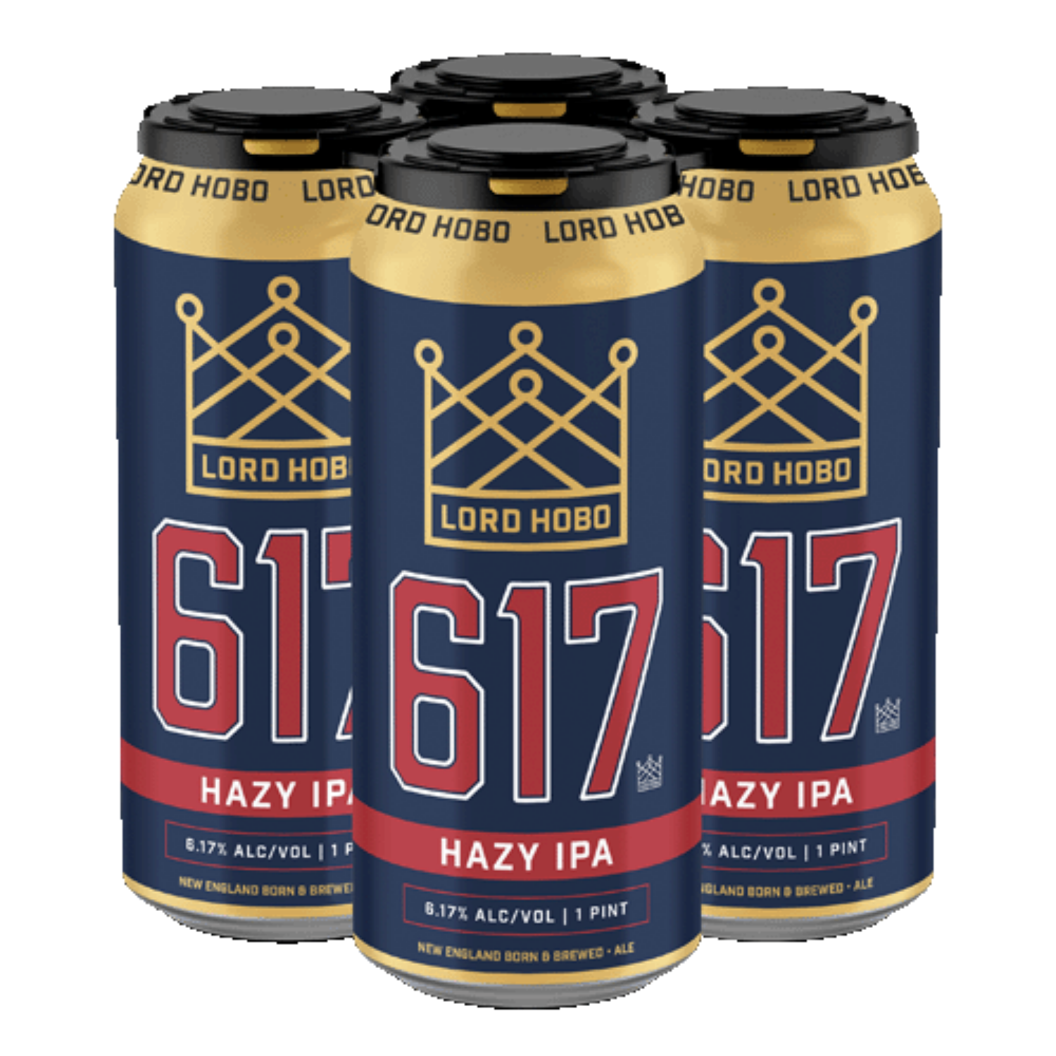 Picture of 617 Hazy IPA