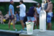 Picture of Simple Vodka